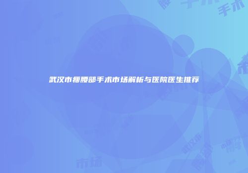 武汉市瘦腰部手术市场解析与医院医生推荐