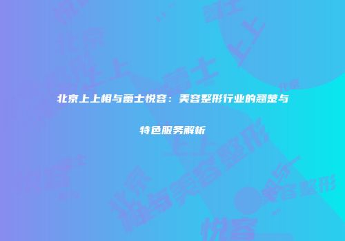 北京上上相与蕾士悦容：美容整形行业的翘楚与特色服务解析