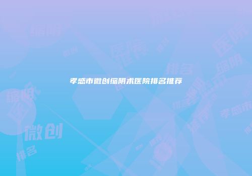 孝感市微创缩阴术医院排名推荐